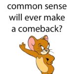 political-memes political text: I wonder if common sense will ever make a comeback?  political