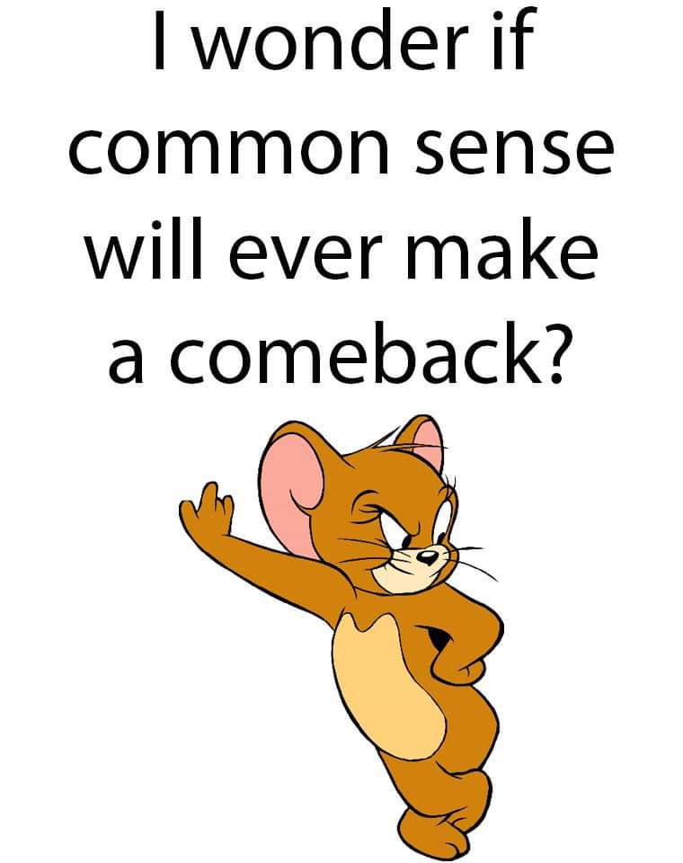 political political-memes political text: I wonder if common sense will ever make a comeback? 