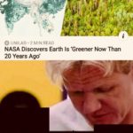 wholesome-memes cute text: O UNILAD 2 MIN READ NASA Discovers Earth Is 