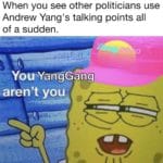 yang-memes political text:  political