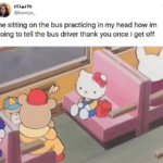 wholesome-memes cute text: @bvnnyx_ me sitting on the bus practicing in my head how im going to tell the bus driver thank you once i get off  cute