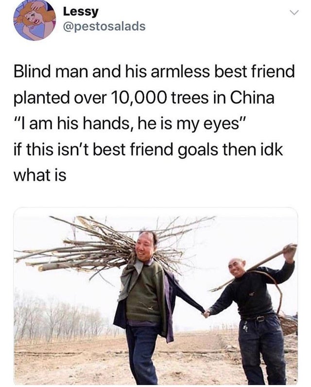 cute wholesome-memes cute text: Lessy @pestosalads Blind man and his armless best friend planted over 10,000 trees in China 