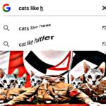 dank-memes cute text: G cats like h heat Q cats/ike /7it/er  Dank Meme