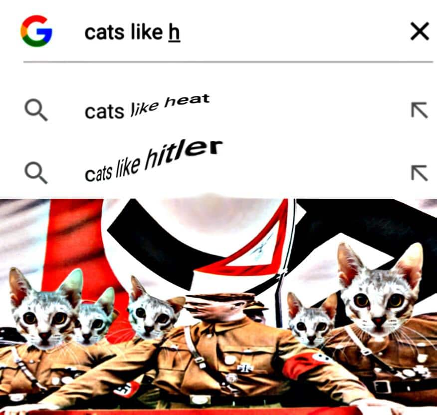 Dank Meme dank-memes cute text: G cats like h heat Q cats/ike /7it/er 