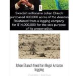 political-memes political text: Swedish millionaire Johan Eliasch purchased 400,000 acres of the Amazon Rainforest from a logging company for $14,000,000 for the sole purpose of its reservation. Johan Eliasch fined for illegal Amazon logging A company belonging to a Swedish businessman has been fined $275 million for illegally cutting down Amazon rain forest. A Swish Johan 400 Rtes tut O! Arraron 