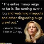 political-memes political text: "The entire Trump reign so far is like turning over a log and watching maggots and other disgusting bugs crawl out. Il - Valerie Plame, Former CIA spy  political