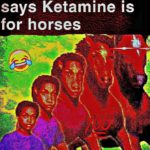 deep-fried-memes deep-fried text: When the doctor says Ketamine is for horses 
