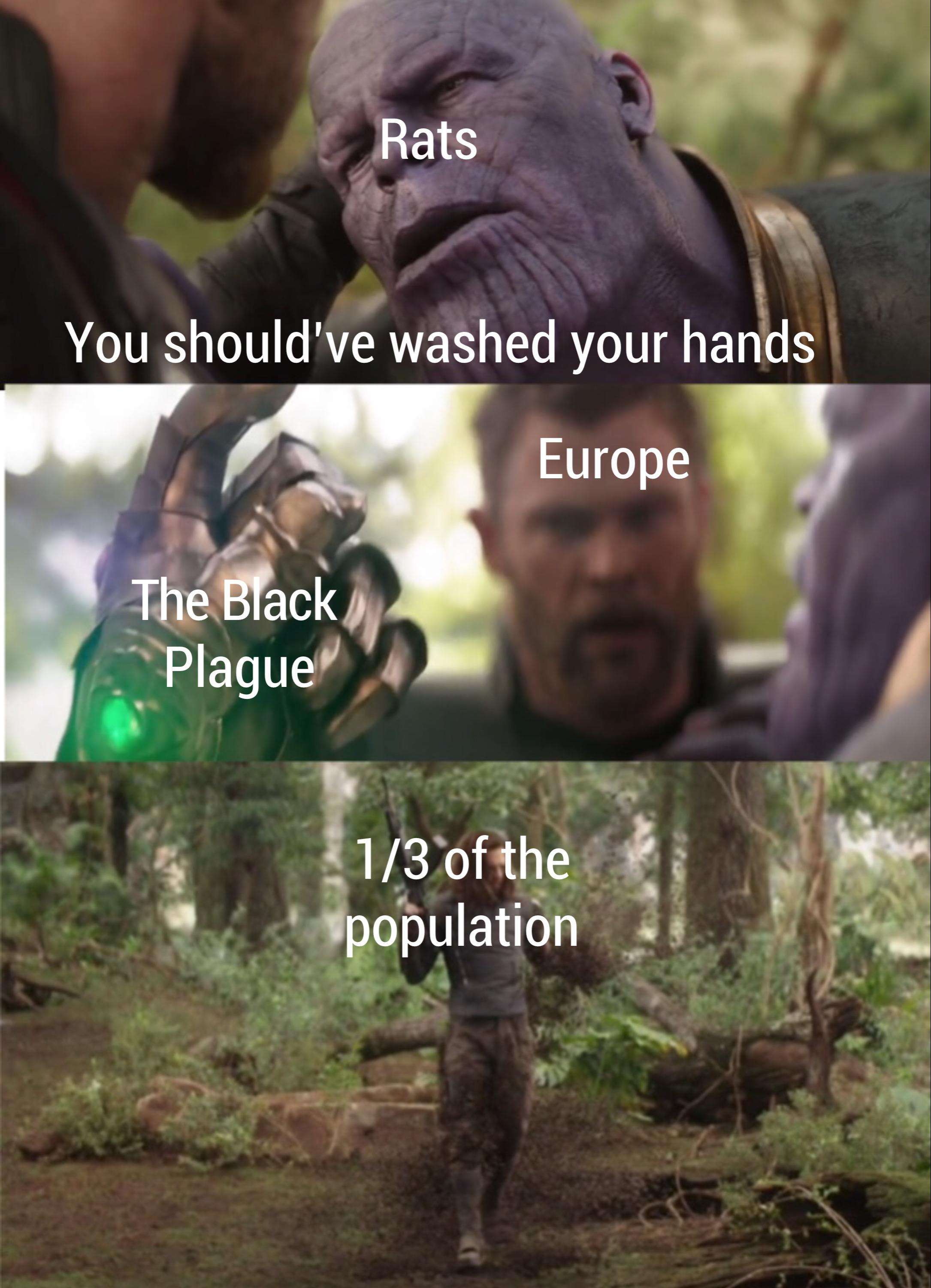 thanos avengers-memes thanos text: Rats You should've washed your hands Europe Plague 1/6 ofthe population 