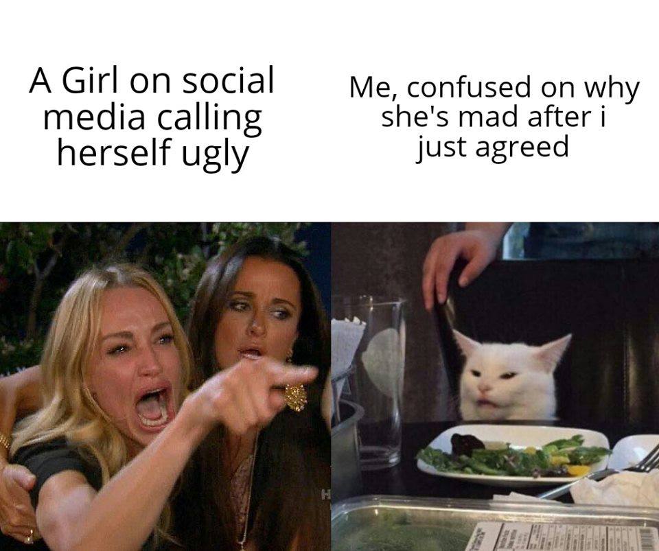 Dank Meme, Woman Yelling at Cat, Ugly other-memes dank text: 