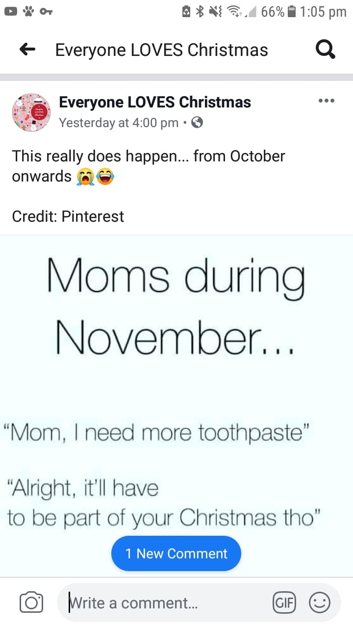 boomer boomer-memes boomer text: * 1:05 pm Everyone LOVES Christmas Q Everyone LOVES Christmas Yesterday at 4:00 pm • This really does happen... from October onwards Credit: Pinterest Moms during November. , , 