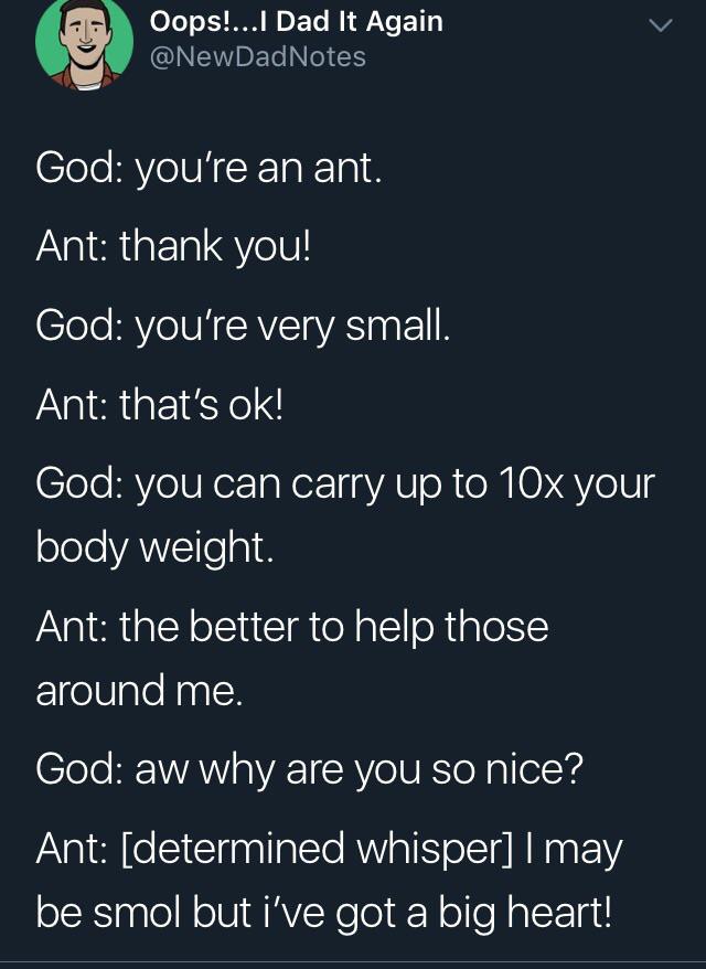 cute wholesome-memes cute text: Oops!...l Dad It Again @NewDadNotes God: you're an ant. Ant: thank you! God: you're very small. Ant: that's ok! God: you can carry up to 10x your body weight. Ant: the better to help those around me. God: aw why are you so nice? Ant: [determined whisper] I may be smol but i've got a big heart! 