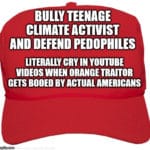 political-memes political text: TEENAGE CLIMATE ACTIVIST AND DEFEND PEDOPHILES cm