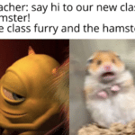 dank-memes cute text: Teacher: say hi to our new class hamster! The class furry and the hamster:  Dank Meme