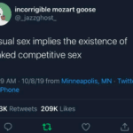 other-memes dank text: incorrigible mozart goose @_jazzghost_ casual sex implies the existence of ranked competitive sex 11:29 AM • 10/8/19 from Minneapolis, MN • Twitter for iPhone 54.3K 209K Likes Retweets  dank