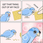 wholesome-memes cute text: GET THAT THING OUT OF MY FACE! chicken thoughts  cute