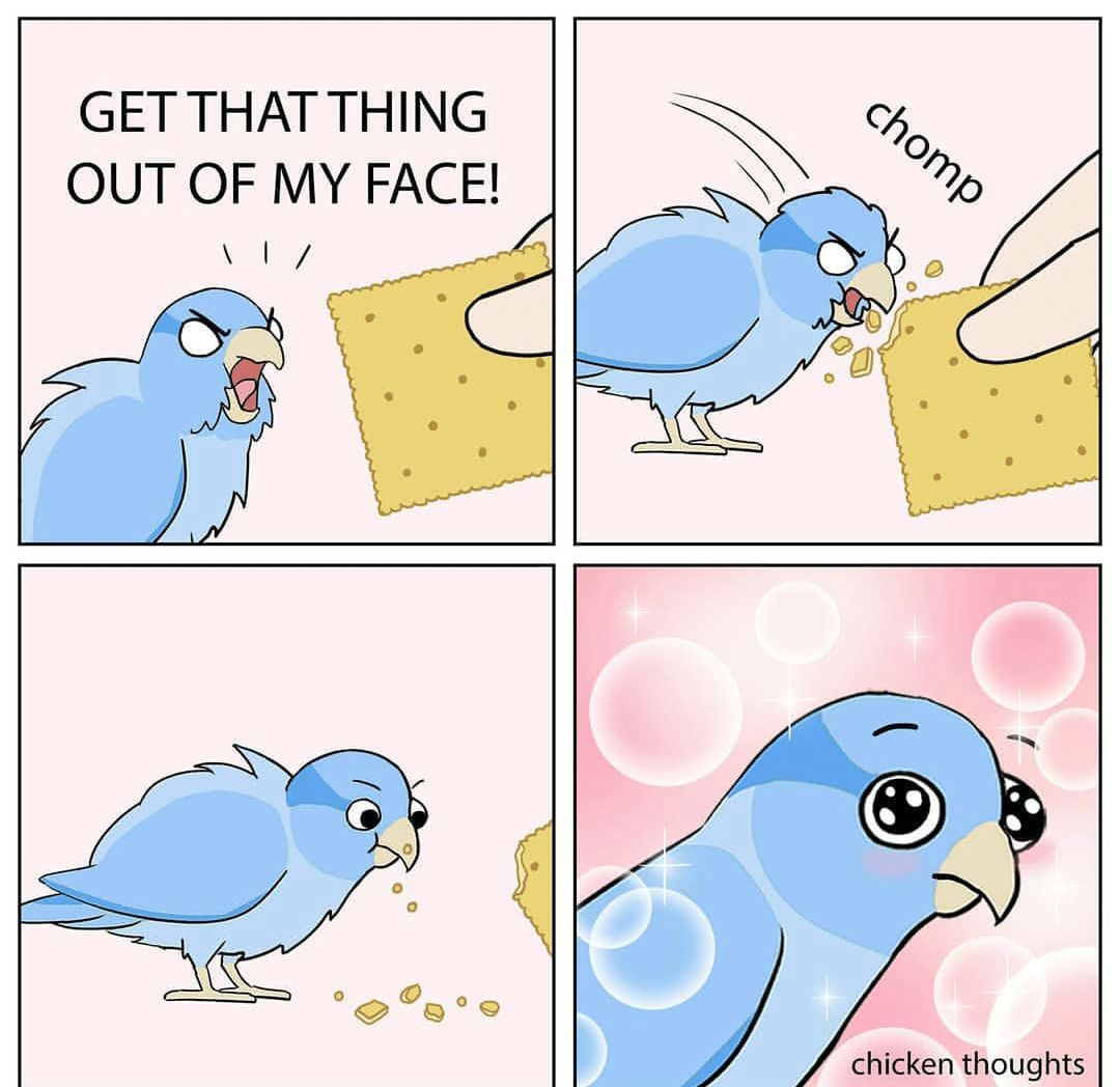 cute wholesome-memes cute text: GET THAT THING OUT OF MY FACE! chicken thoughts 