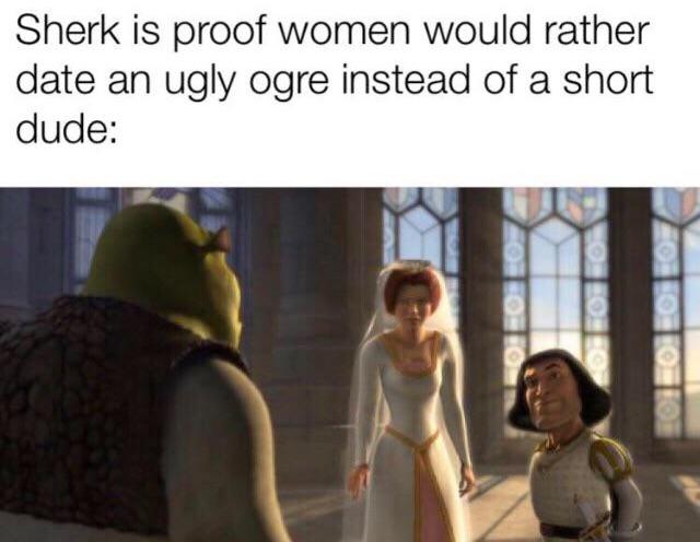 Dank Meme dank-memes cute text: Sherk is proof women would rather date an ugly ogre instead of a short dude: 