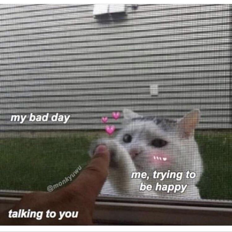 cute wholesome-memes cute text: my bad talking to you me, trying to 