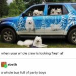 wholesome-memes cute text: when your whole crew is looking fresh af ebeth a whole bus full of party boys  cute
