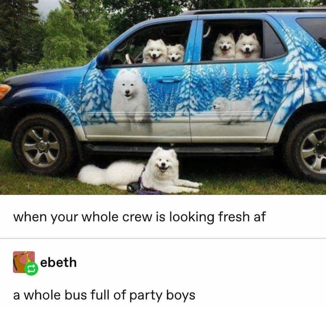 cute wholesome-memes cute text: when your whole crew is looking fresh af ebeth a whole bus full of party boys 