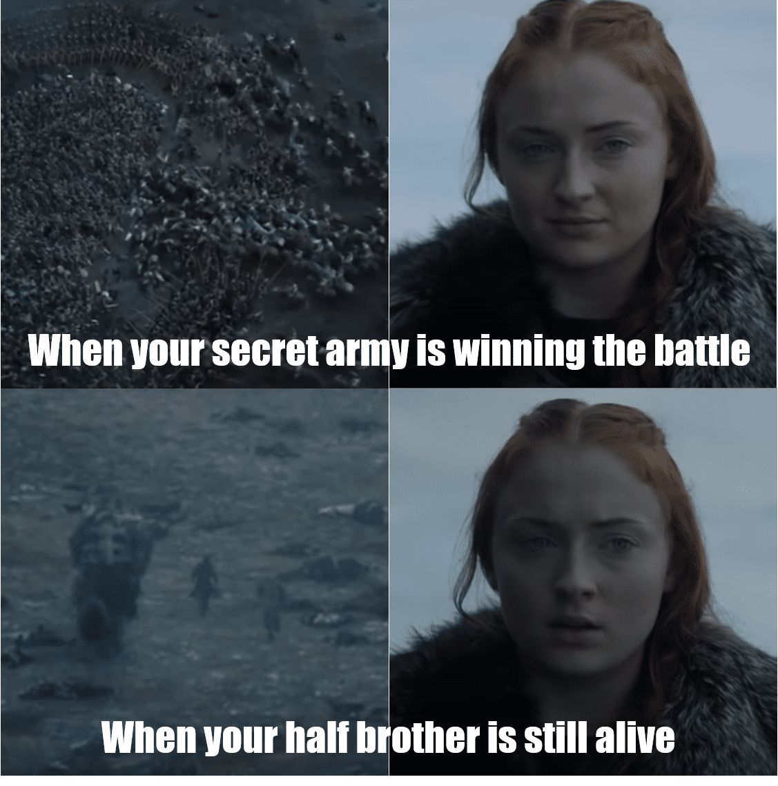 sansa-stark game-of-thrones-memes sansa-stark text: When your secret army is winning the battle When your half brother is still alive 