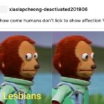 other-memes other text: xiaolapcheong-deactivated201806 how come humans don