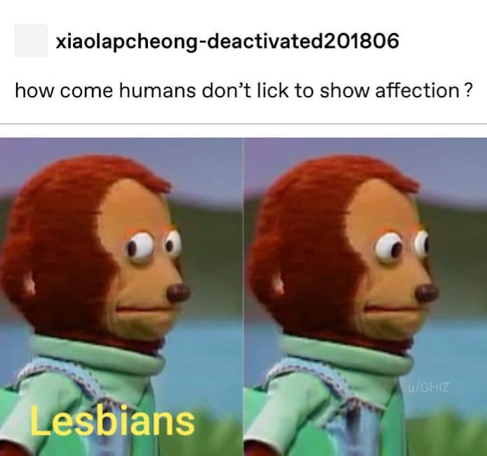 other other-memes other text: xiaolapcheong-deactivated201806 how come humans don't lick to show affection ? efblans 