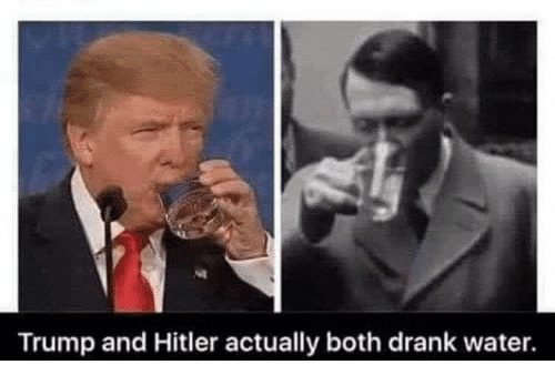 Dank Meme dank-memes cute text: Trump and Hitler actually both drank water. 
