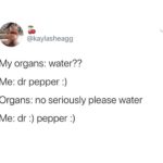 water-memes water text: @kaylasheagg My organs: water?? Me: dr pepper :) Organs: no seriously please water Me: dr :) pepper :)  water