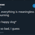 depression-memes depression text: B SUPREME @BaerTaffy Following life sucks, everything is meaningless and the world is burning *sees one happy dog it
