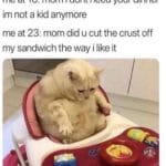 wholesome-memes cute text: me at 16: mom i dont need your dinner im not a kid anymore me at 23: mom did u cut the crust off my sandwich the way i like it  cute