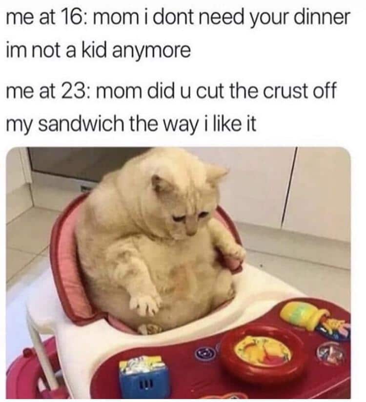cute wholesome-memes cute text: me at 16: mom i dont need your dinner im not a kid anymore me at 23: mom did u cut the crust off my sandwich the way i like it 