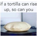 wholesome-memes cute text: if a tortilla can rise up, so can you  cute