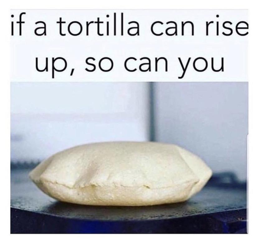 cute wholesome-memes cute text: if a tortilla can rise up, so can you 