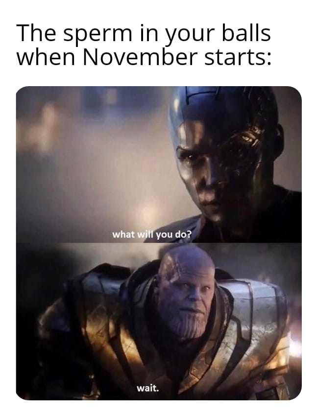 thanos avengers-memes thanos text: The sperm in your balls when November starts: what you do? wait. 