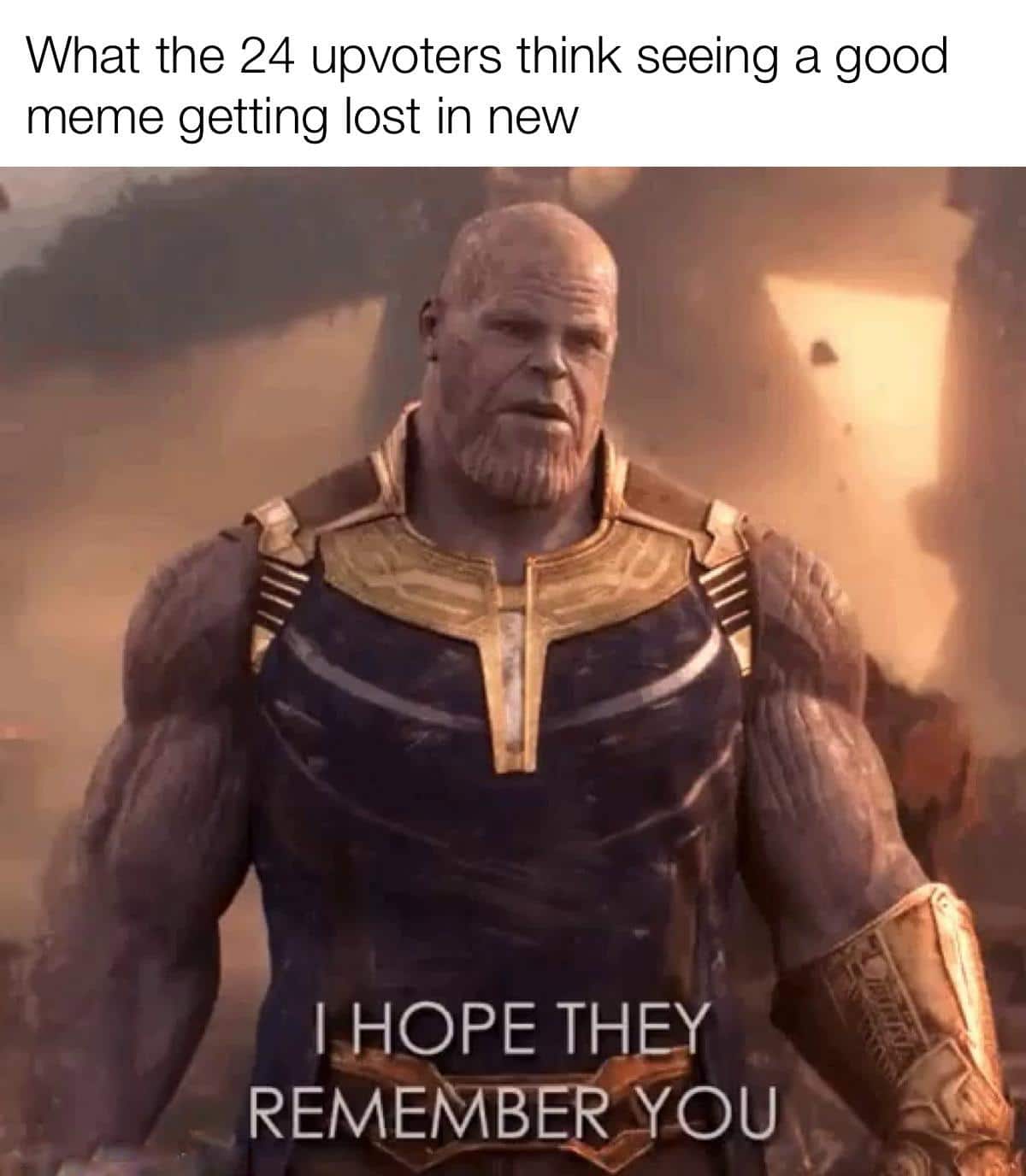 thanos avengers-memes thanos text: What the 24 upvoters think seeing a good meme getting lost in new I HOPE THEY REMEMBEVOU 