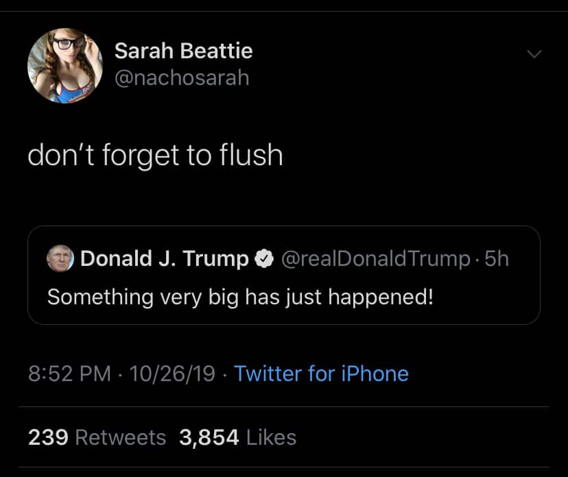political political-memes political text: Sarah Beattie @nachosarah don't forget to flush Donald J. Trump @realDonaldTrump 5h Something very big has just happened! 8:52 PM 10/26/19 Twitter for iPhone Likes 239 Retweets 3,854 