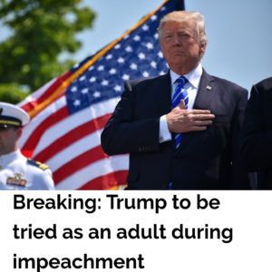 political-memes political text: Breaking: Trump to be tried as an adult during impeachment