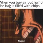 dank-memes cute text: When you buy air but half of the bag is filled with chips Noooo!  Dank Meme