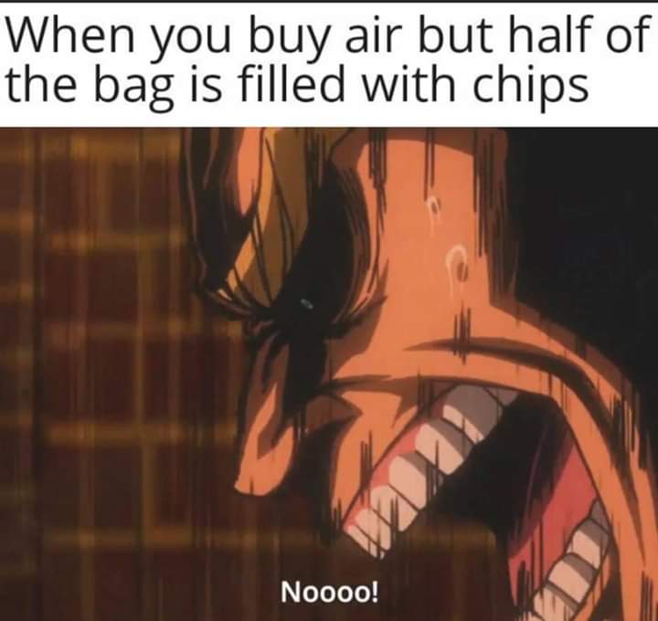 Dank Meme dank-memes cute text: When you buy air but half of the bag is filled with chips Noooo! 