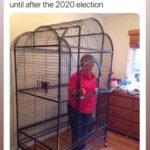 political-memes political text: We doing this to everybody over 75 until after the 2020 election Eii -  political