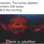 dank-memes cute text: Scientists: The human skeleton contains 206 bones Me in the morning: There is another  Dank Meme