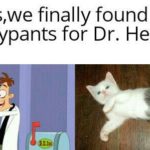 wholesome-memes cute text: Guys,we finally found Mr. Fluffypants for Dr. Heinz IN  cute