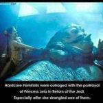 offensive-memes nsfw text: Hardcore Feminists were outraged with the portrayal Of Princess Lela in Return Of the Jedi. Especially after she strangled one of them.  nsfw
