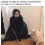 game-of-thrones-memes game-of-thrones text: Dressed my baby as JonSnow for Halloween and used my aunts dog as Ghost 