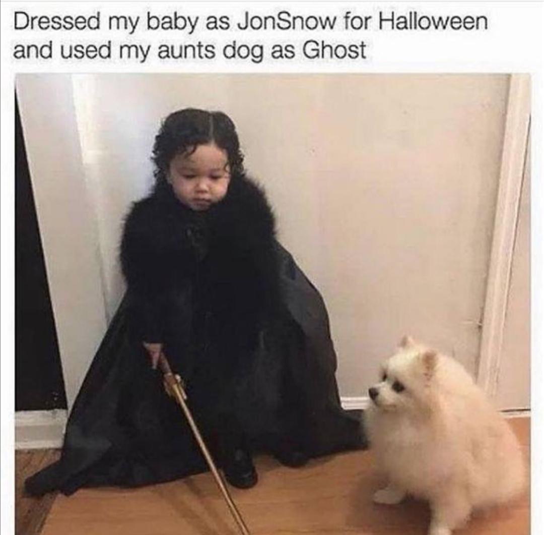 game-of-thrones game-of-thrones-memes game-of-thrones text: Dressed my baby as JonSnow for Halloween and used my aunts dog as Ghost 