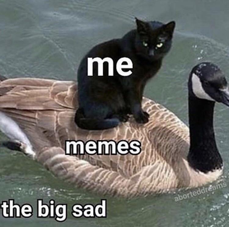 depression depression-memes depression text: me memes the big sad 