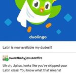 history-memes history text: duolingo Latin is now available my dudes!!! sweetbabyjesusonfire Uh oh, Julius, looks like you