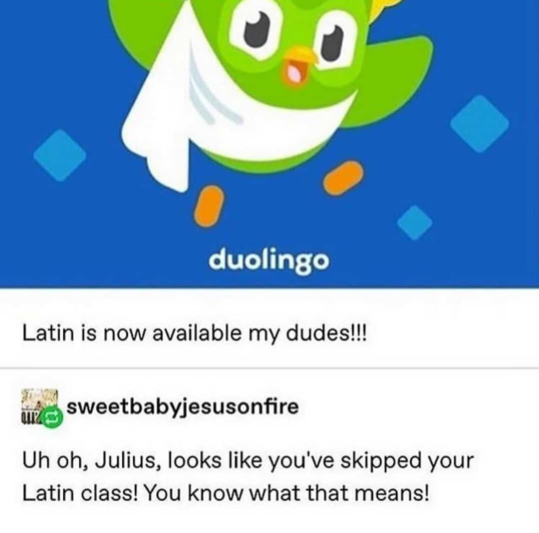 history history-memes history text: duolingo Latin is now available my dudes!!! sweetbabyjesusonfire Uh oh, Julius, looks like you've skipped your Latin class! You know what that means! 