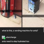 water-memes water text: UM what is this, a vending machine for ants? ubercharge ants need to stay hydrated too shwlg Don